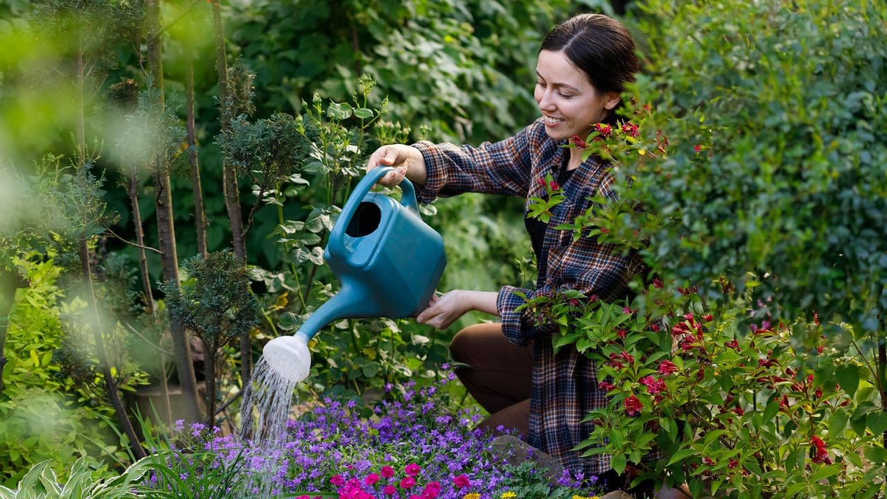 This 10-minute gardening routine has made a huge difference to my outdoor space — here's why I do it every evening