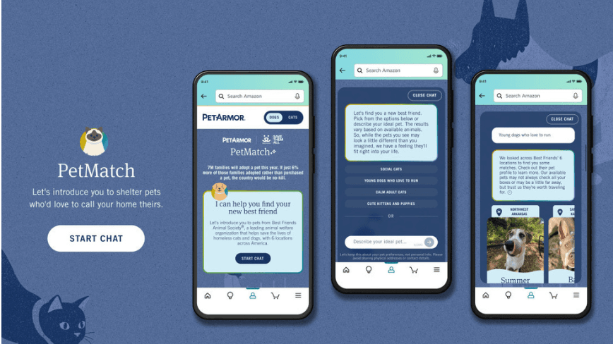 Amazon’s AI tool matches shelter dogs and cats with adopters in the Protect Playtime campaign