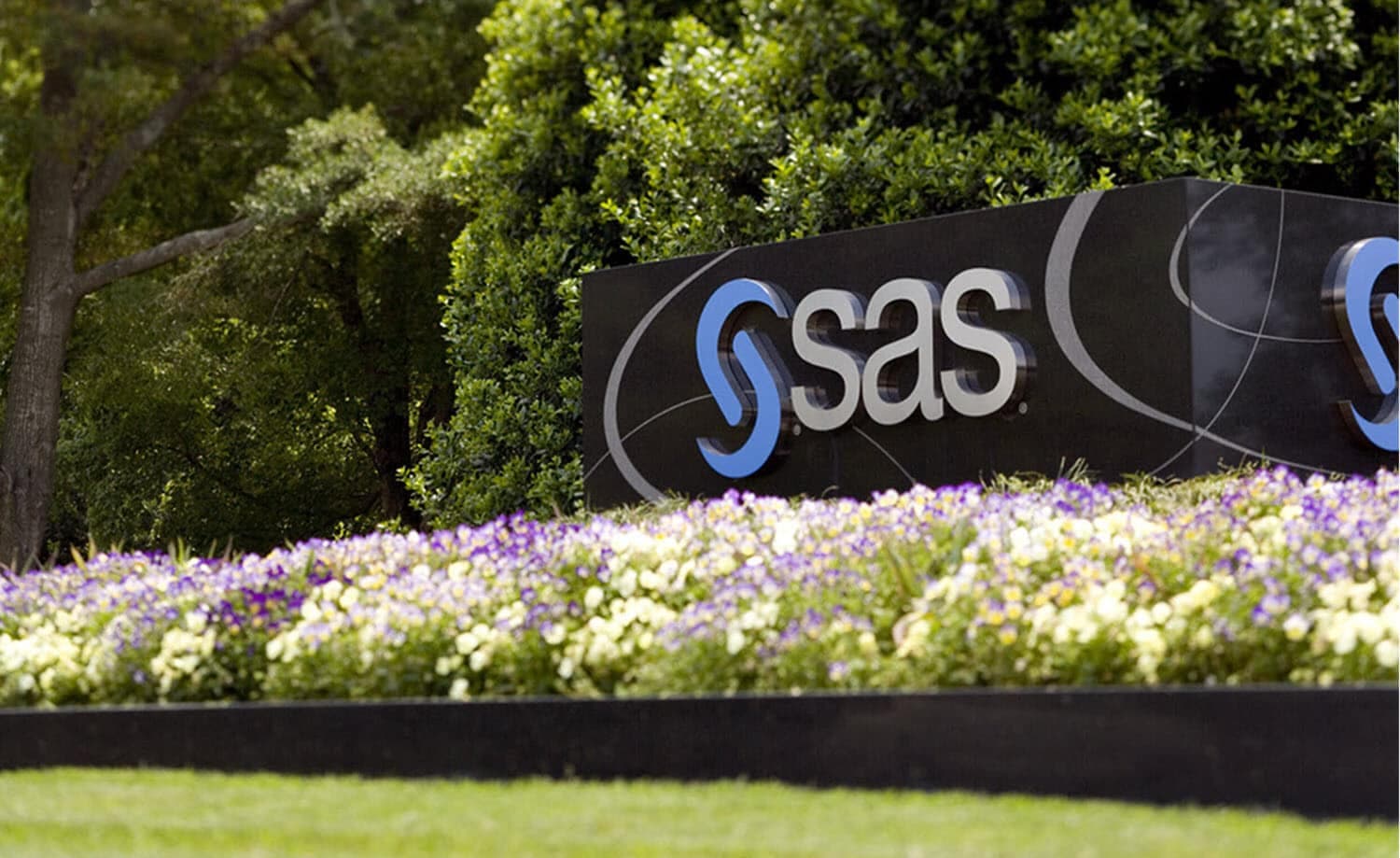 SAS expands agentic AI and governance capabilities with broad platform updates