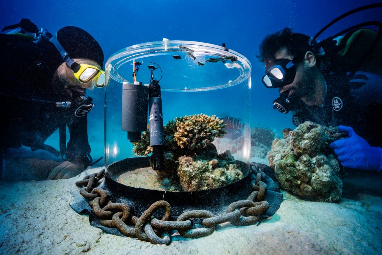 These Award-Winning Science Photos Capture the Beauty—and Weirdness—of Research