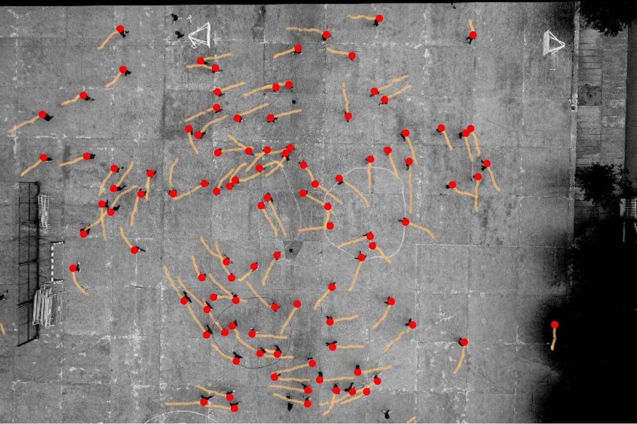 Pedestrians Prefer to Veer Left—and Scientists Have No Idea Why