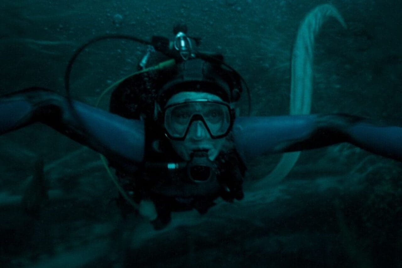 Whalefall: A Deep Dive into Scientific Realism in Marine Ecosystems