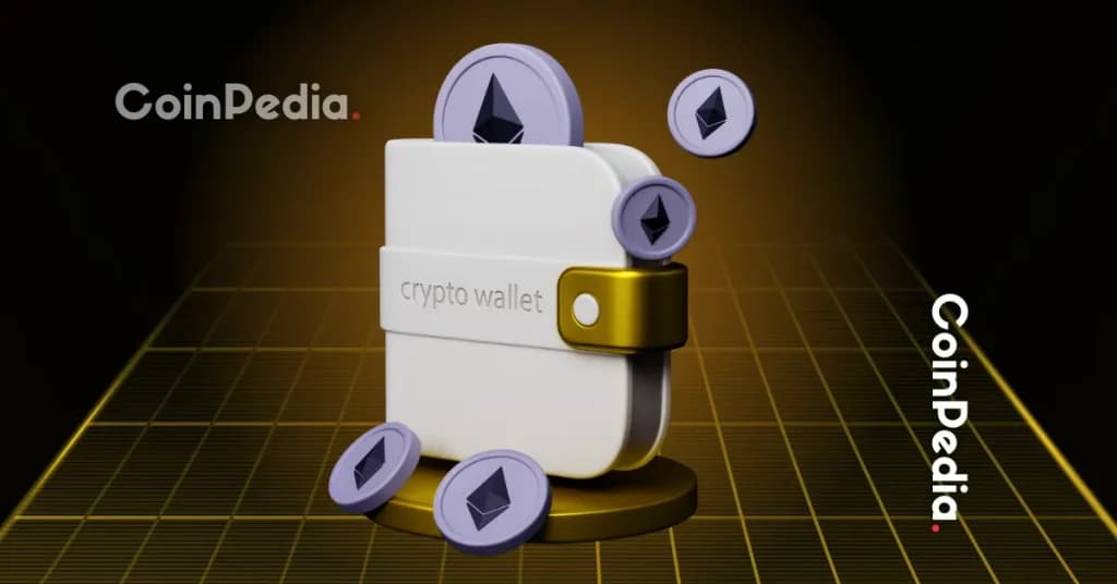 Privacy Protocol Users Are Looking for Safer, More Reliable Alternatives