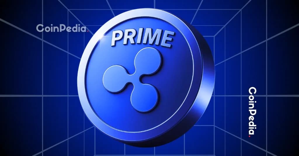 XRP News: Ripple Prime Raises $200 Million From Neuberger to Scale Institutional Crypto Lending