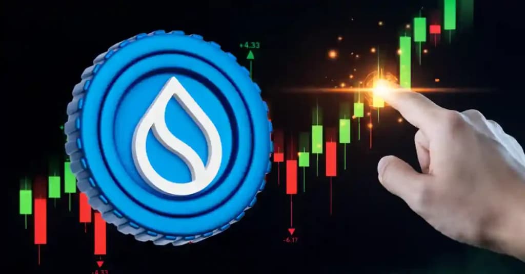 Why is the SUI token price up today?