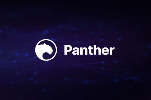 Panther Protocol deploys privacy infrastructure on Polygon