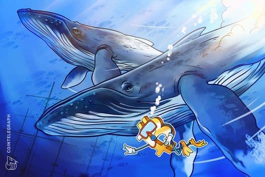 Hyperliquid whale opens $53M Bitcoin short: Should traders take notice?