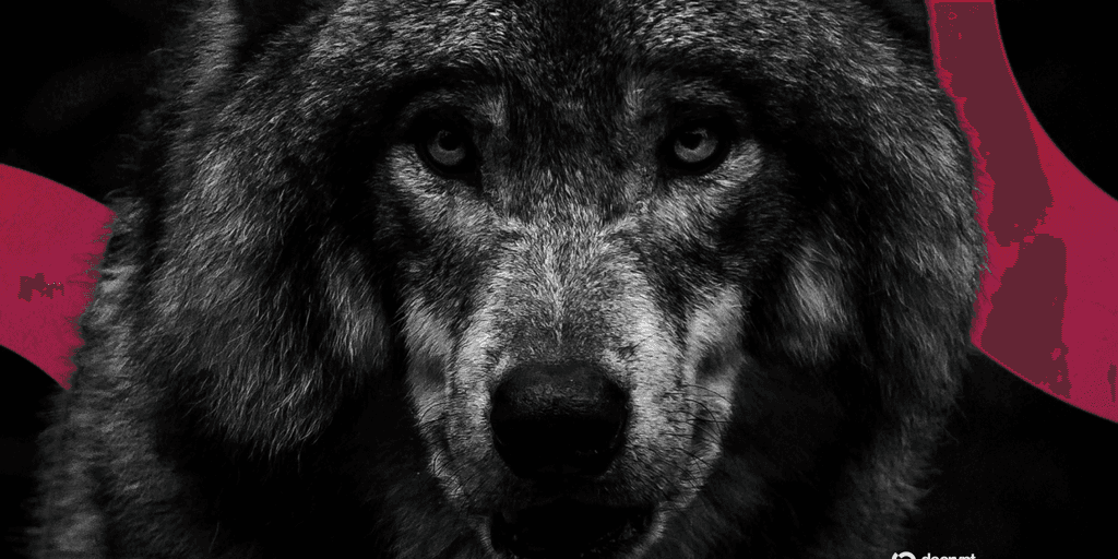 South Korea Arrests Man for a Fake AI Wolf Photo That Raised Alarms