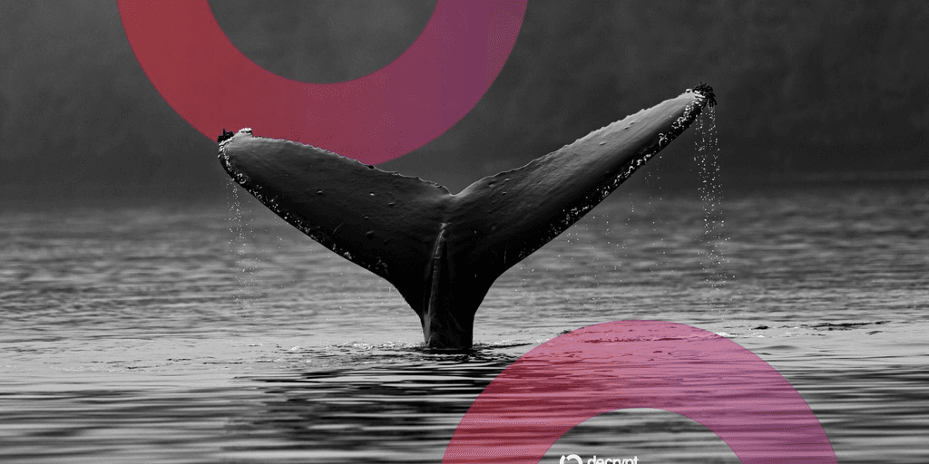 Ethereum ICO Whale Who Turned $3,100 Into $23M Wakes Up After a Decade