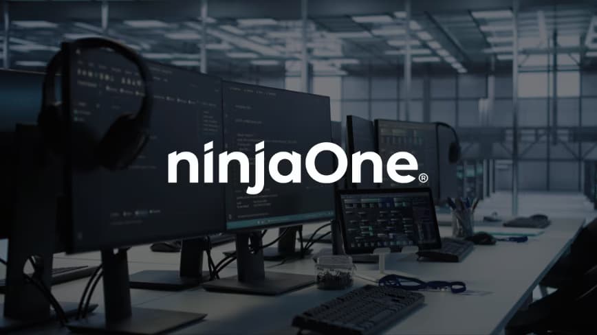 NinjaOne’s valuation more than doubles to $12.3bn, and it says it didn’t even need the money