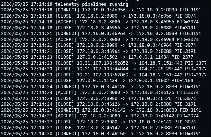 Building Dhrishti Part 2: Go-Lang Quirks