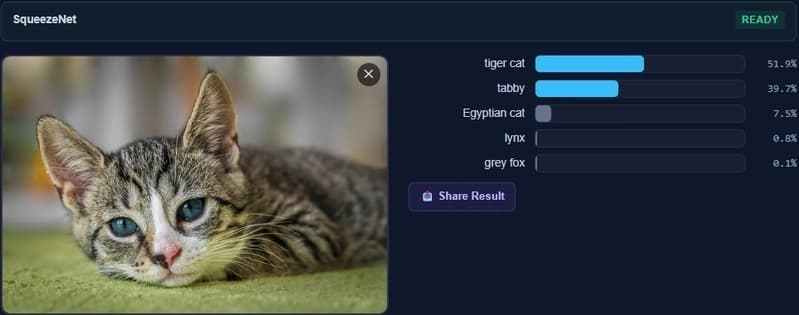 I Built a Neural Network Engine in C# That Runs in Your Browser - No ONNX Runtime, No JavaScript Bridge, No Native Binaries