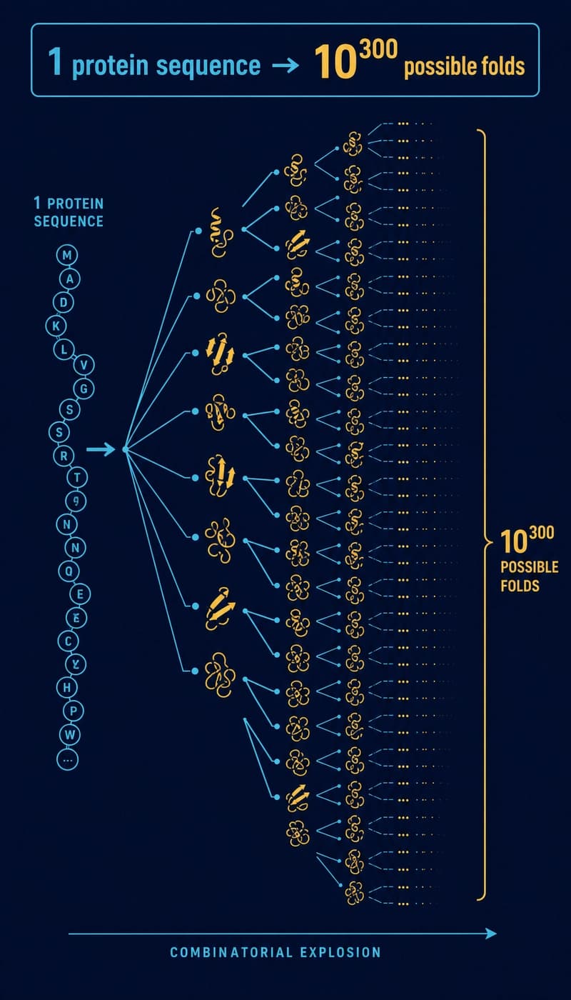 AlphaFold and the Protein Folding Revolution: What Developers Need to Know