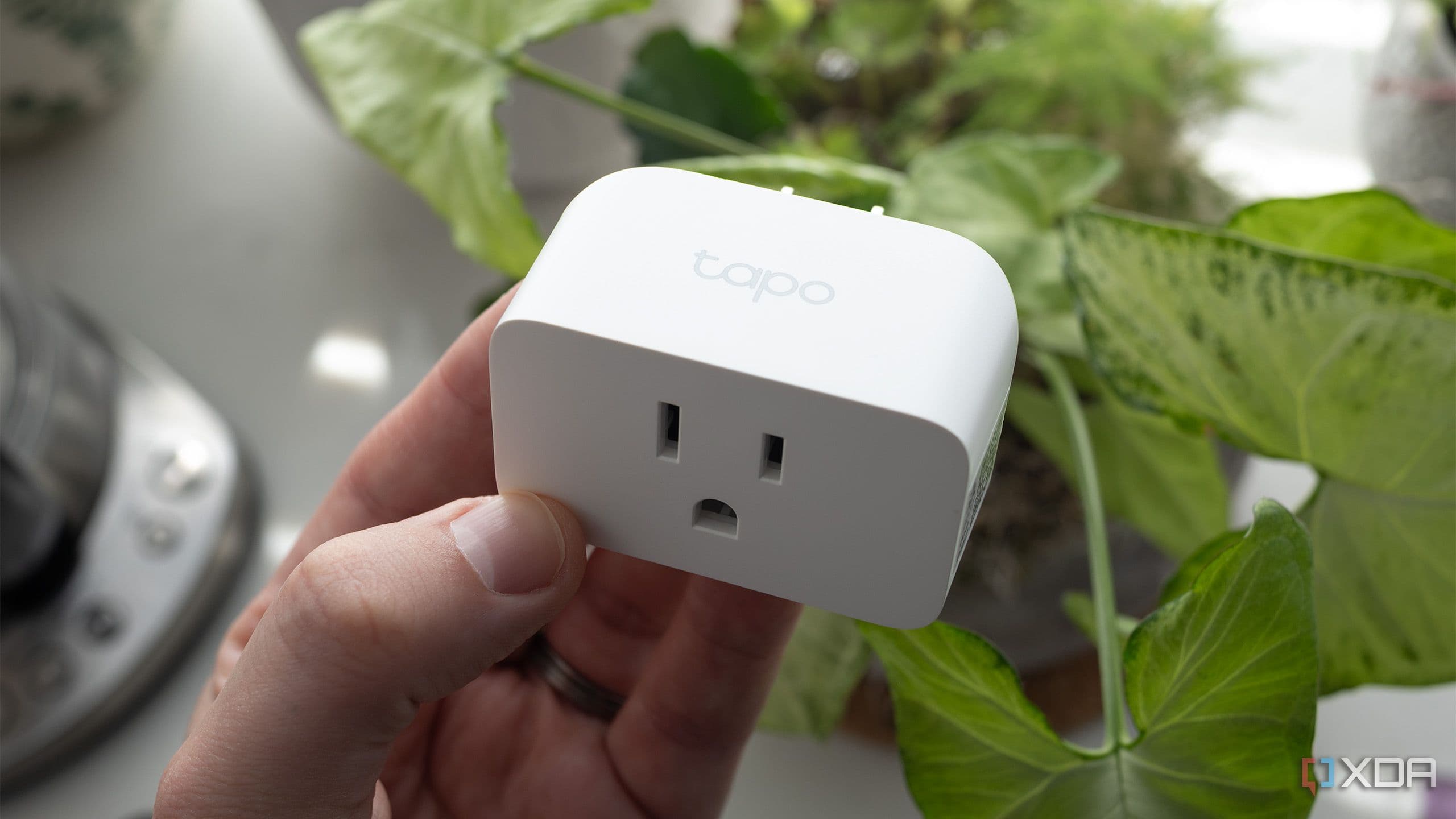 Belkin bricked my Wemo plugs, and it was the best thing that ever happened to my smart home
