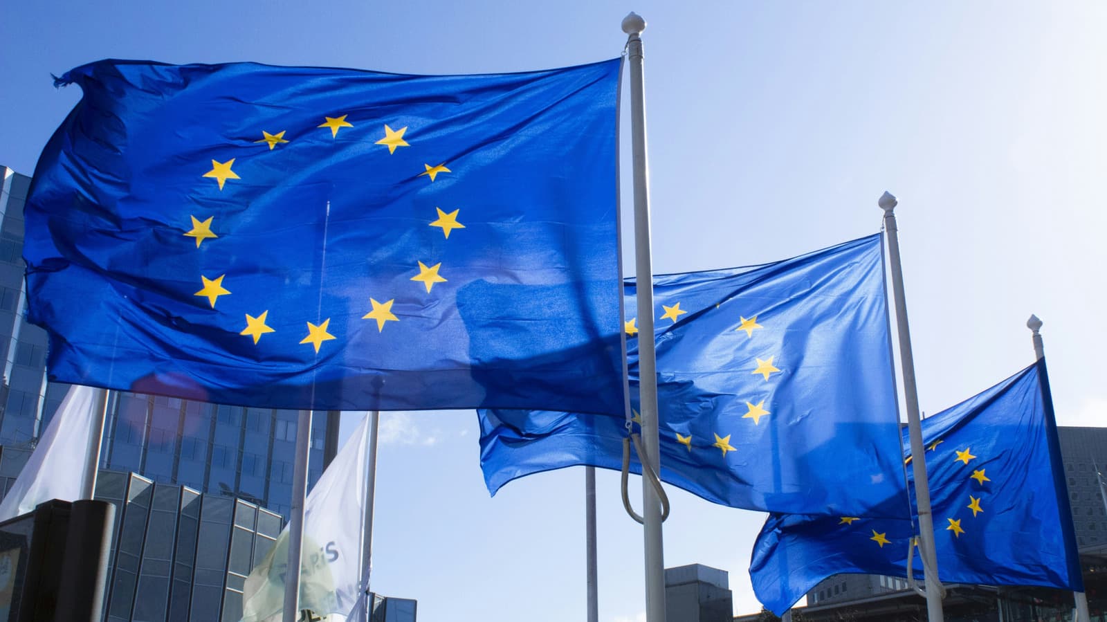 European Parliament considers moving away from Google as default search engine